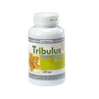 Kompava Tribulus terrestris